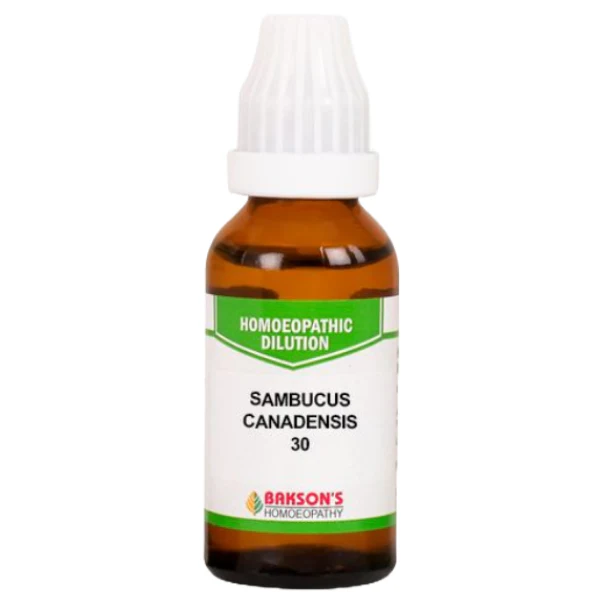 BAKSON'S HOMEOPATHY SAMBUCUS CANADENSIS DILUTION 30 - PACK OF 4 (30 ML EACH)