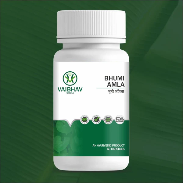 BHUMI AMLA CAPSULE (60 CAPS)
