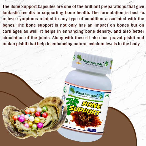 BONE SUPPORT - Image 5