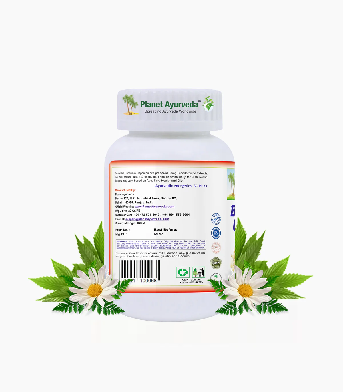 BOSWELLIA CURCUMIN - Image 3