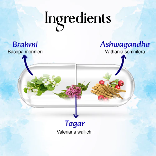 CALM EASY CAPSULES - Image 3