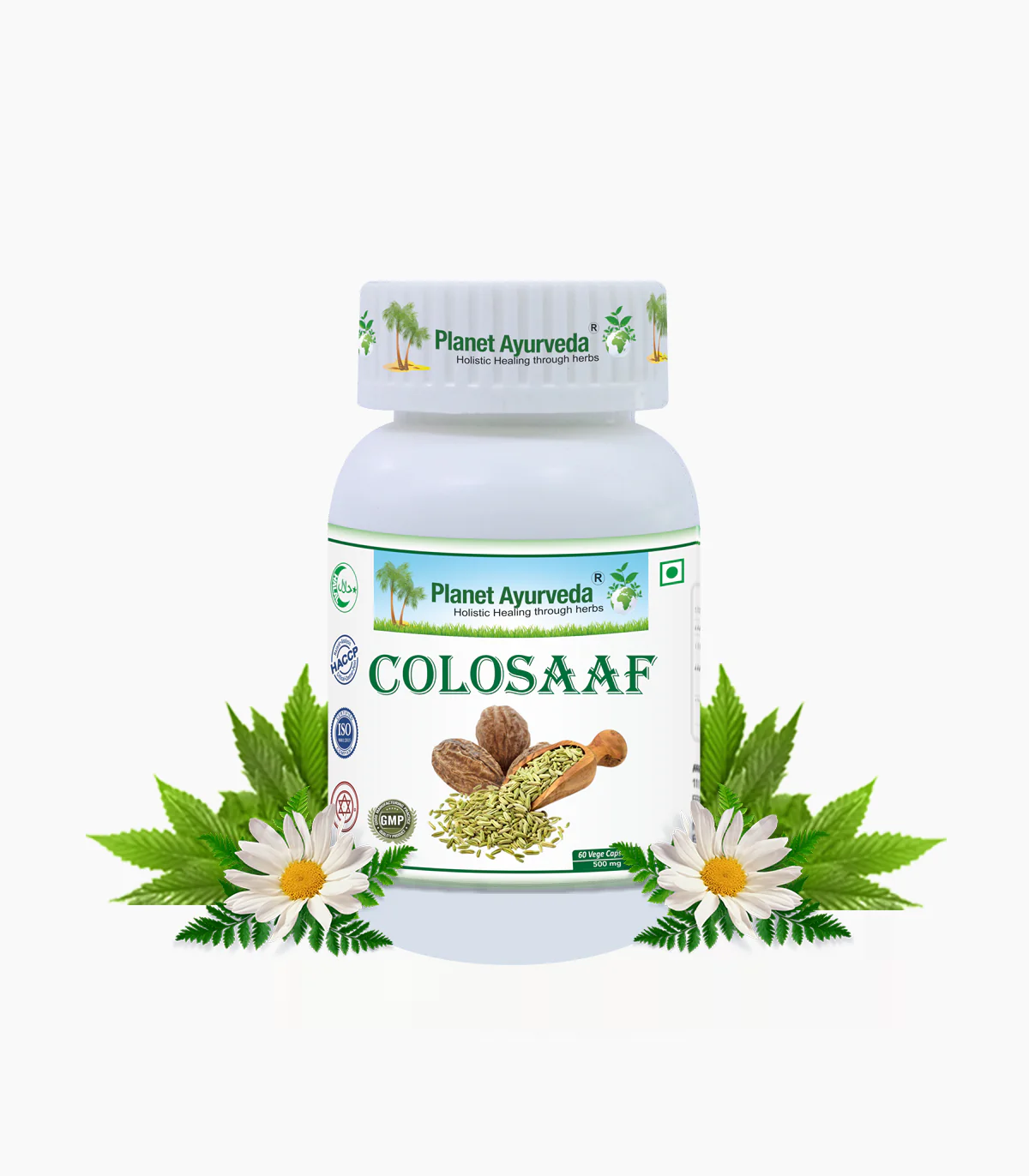 COLOSAAF