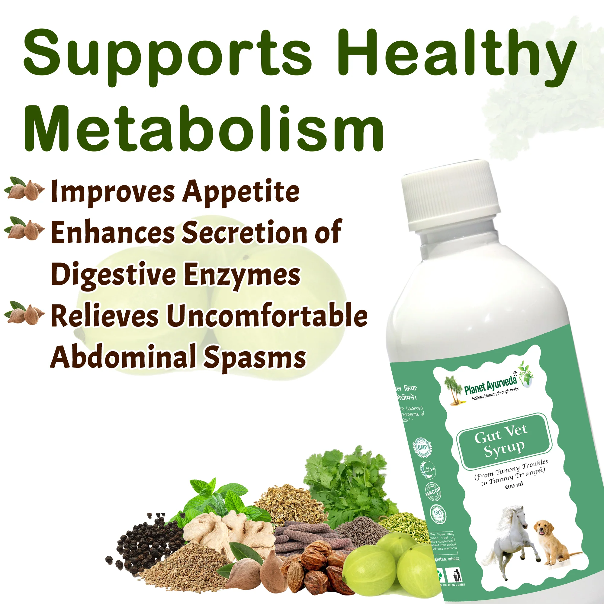 GUT VET SYRUP - Image 2