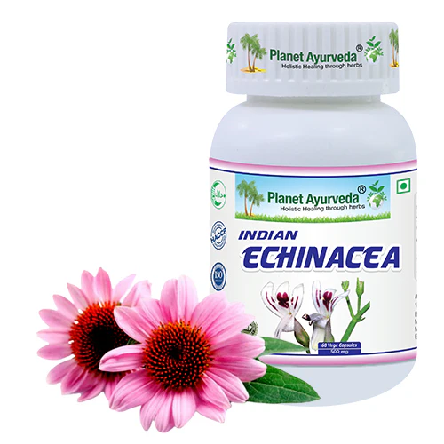 INDIAN ECHINACEA - Image 4