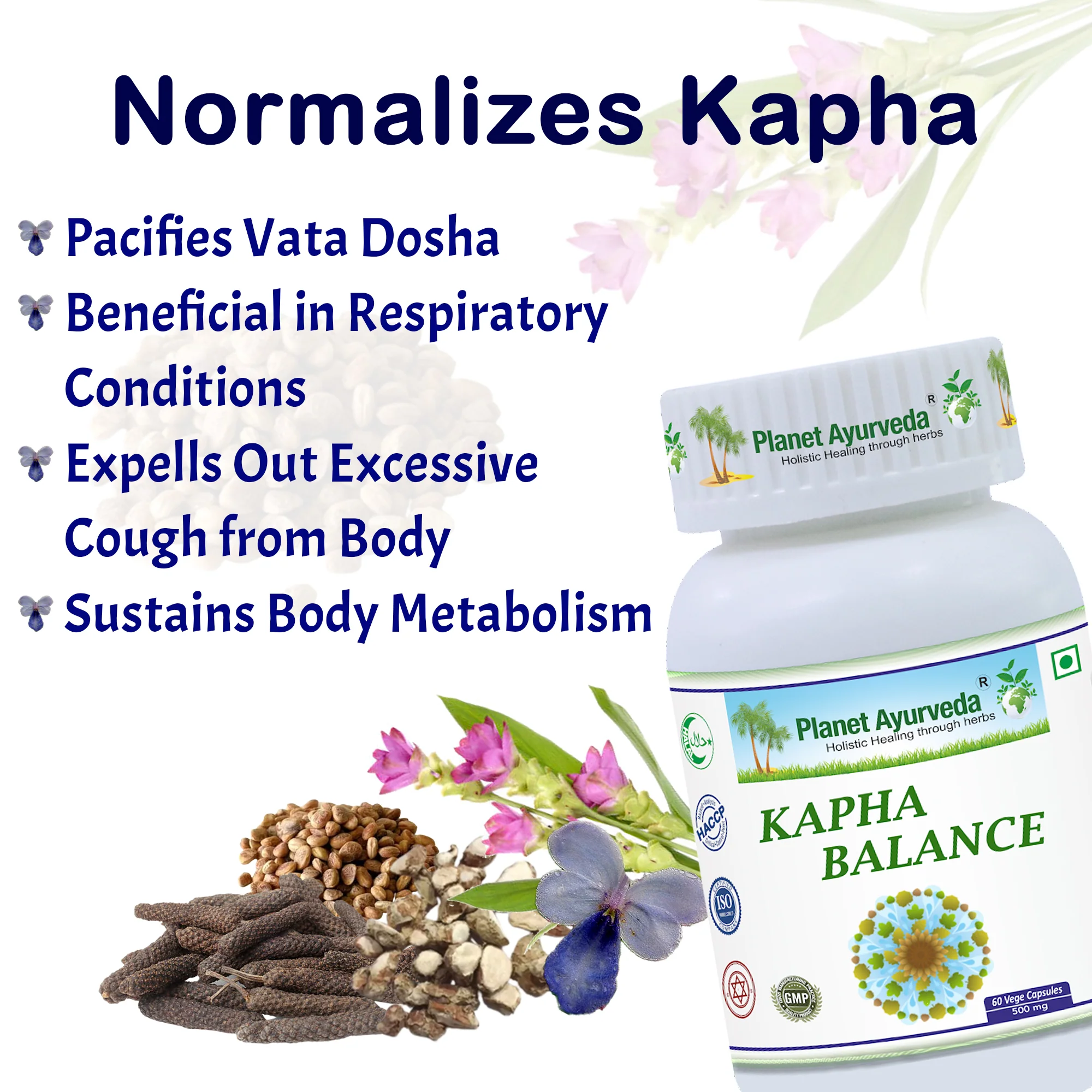 KAPHA BALANCE - Image 2