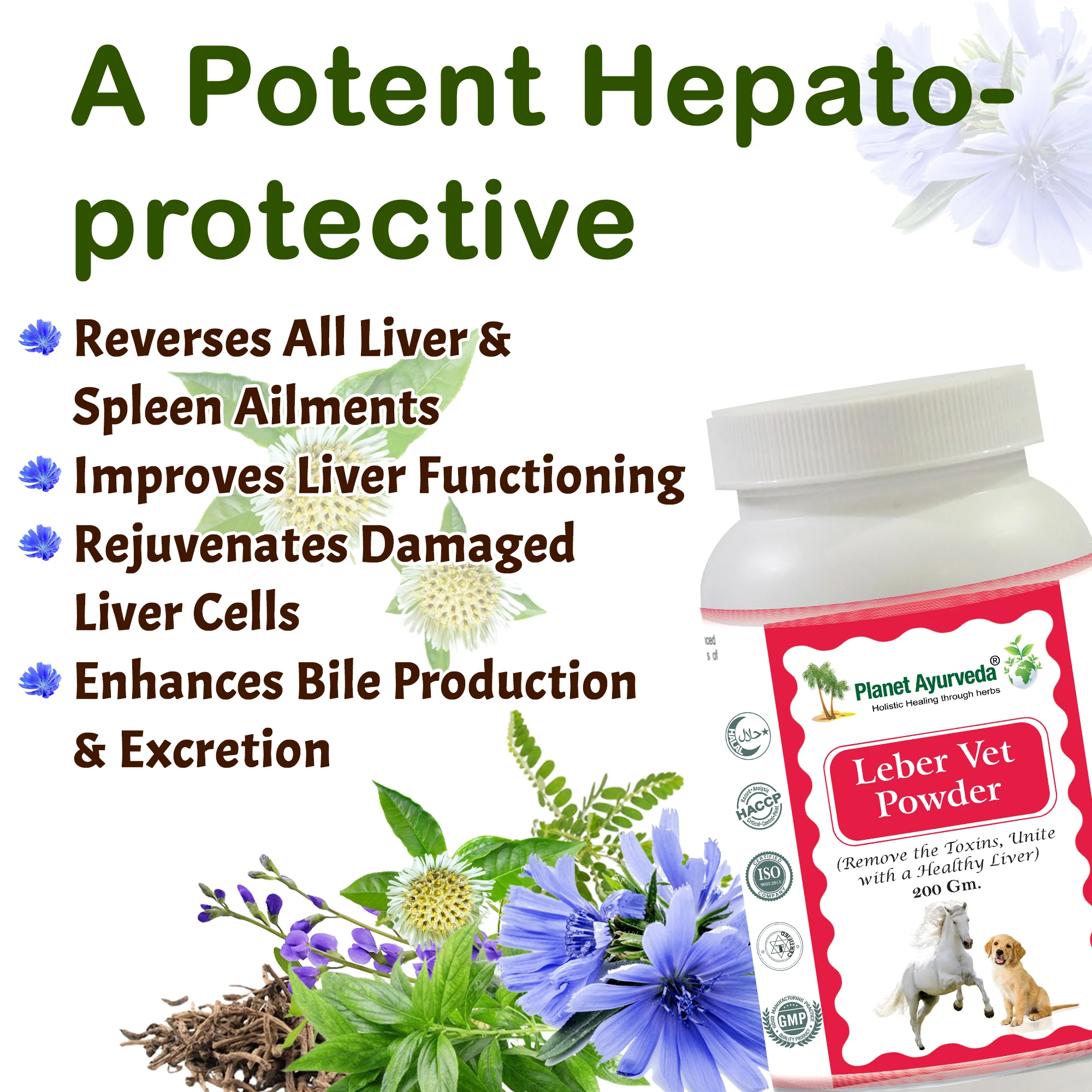 LEBER VET POWDER - Image 2