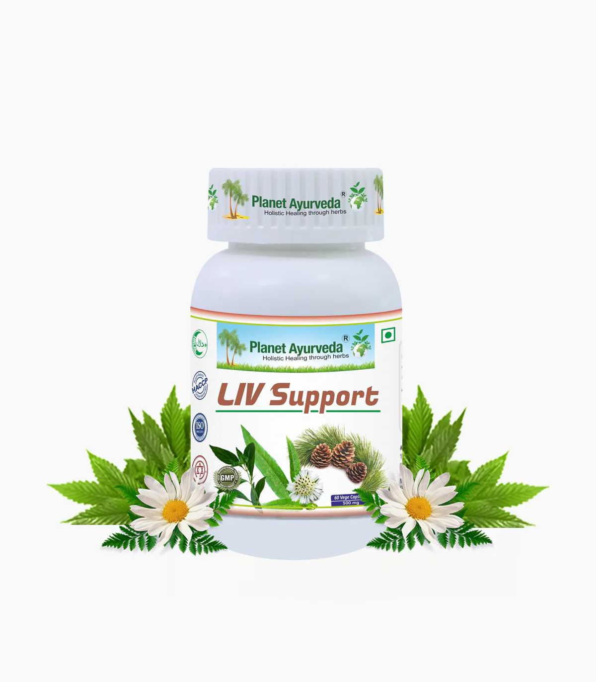 LIV SUPPORT
