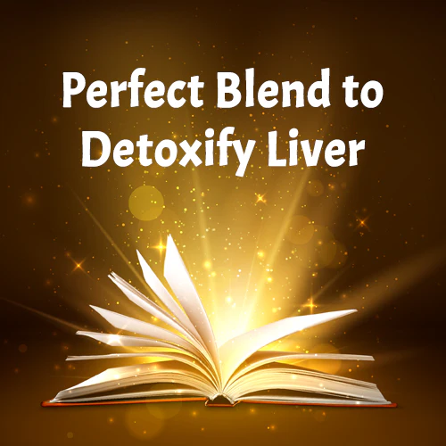 LIVER DETOX FORMULA - Image 7