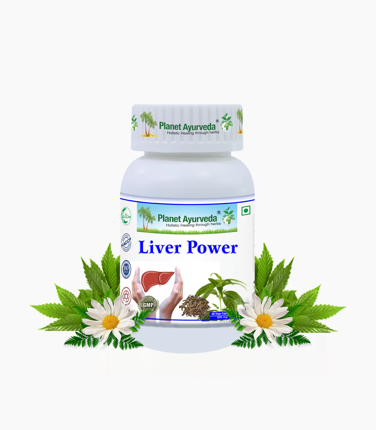 Liver Power