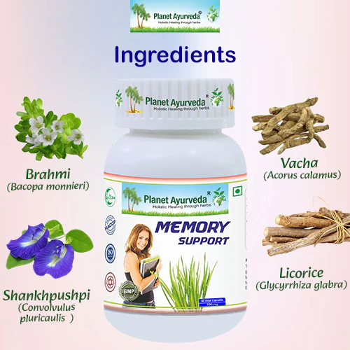 MEMORY SUPPORT - Image 3