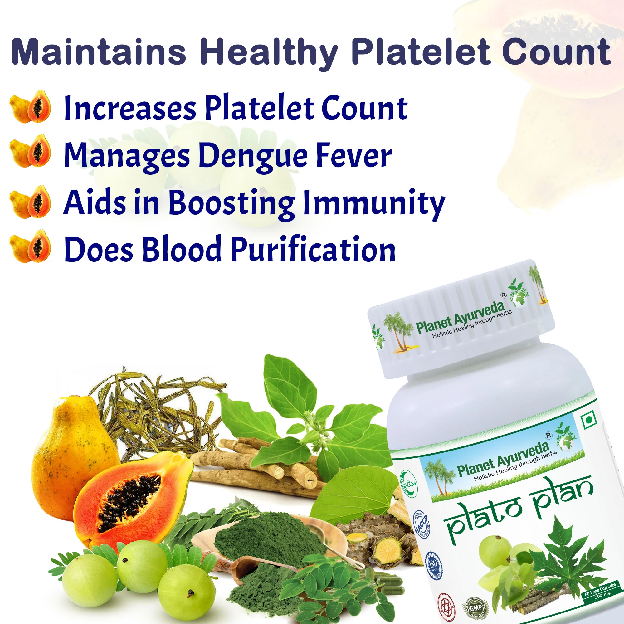 PLATO PLAN CAPSULES - Image 2