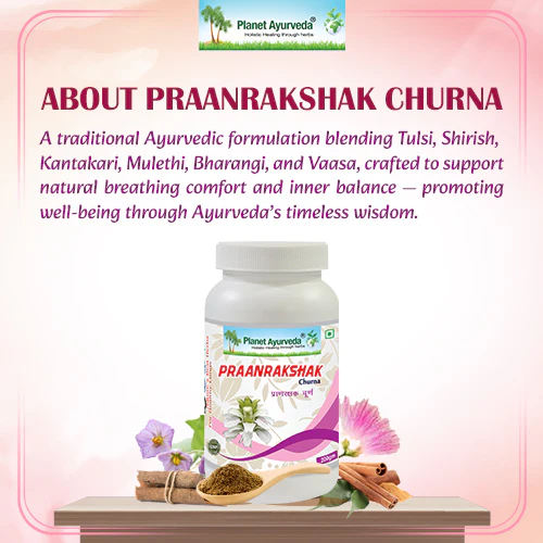 PRAANRAKSHAK CHURNA - Image 5