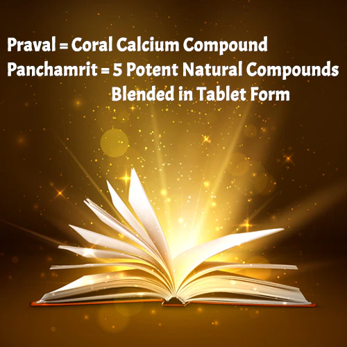 PRAVAL PANCHAMRIT RAS - Image 7