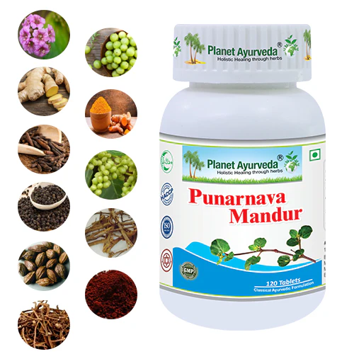 PUNARNAVA MANDUR - Image 6