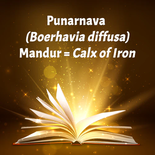 PUNARNAVA MANDUR - Image 7