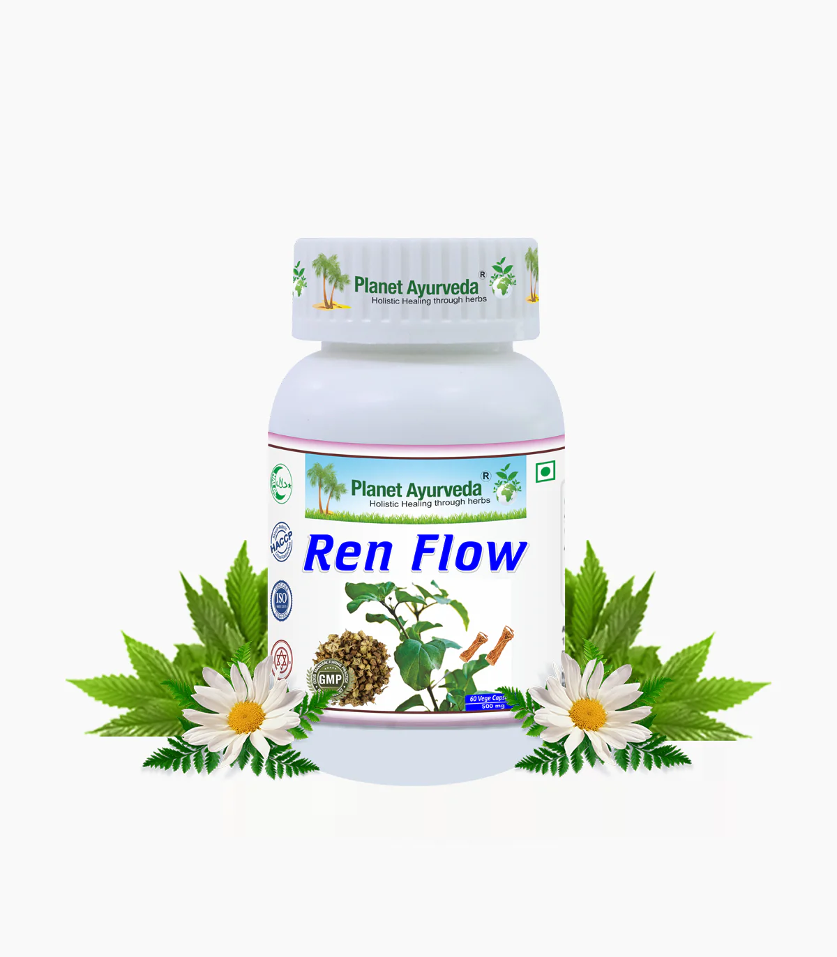 Ren Flow