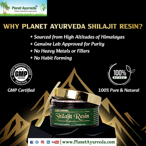 SHILAJIT RESIN - Image 4