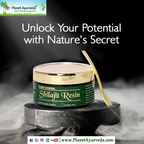 SHILAJIT RESIN - Image 5