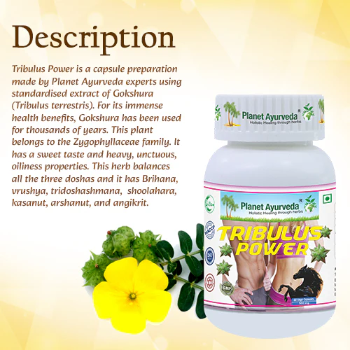 TRIBULUS POWER - Image 4