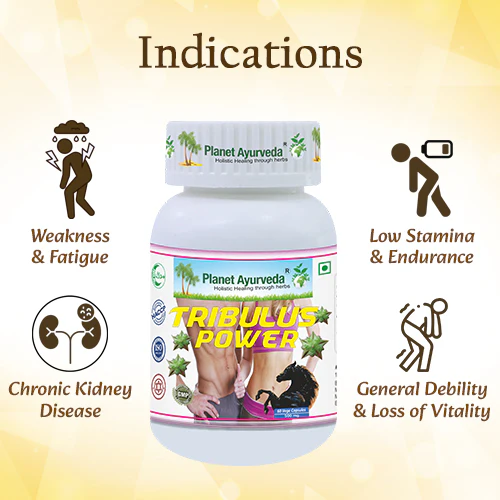 TRIBULUS POWER - Image 5