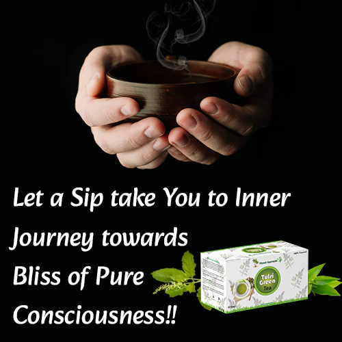 TULSI GREEN TEA - Image 4