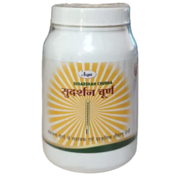 UNJHA SUDARSHAN CHURNA (100 GM)- Pack of 3