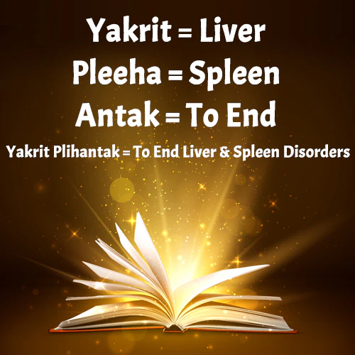 YAKRIT PLIHANTAK CHURNA (75 GM) - Image 5