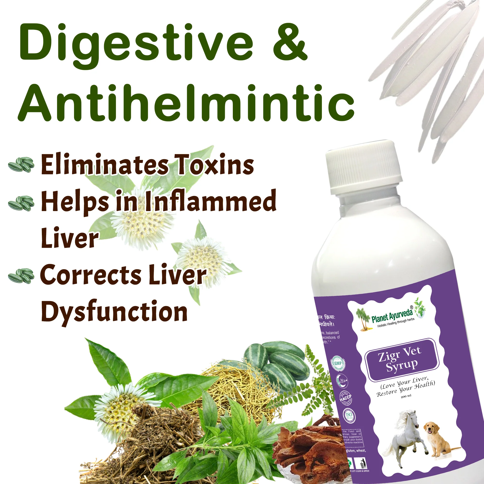 ZIGR VET SYRUP - Image 2